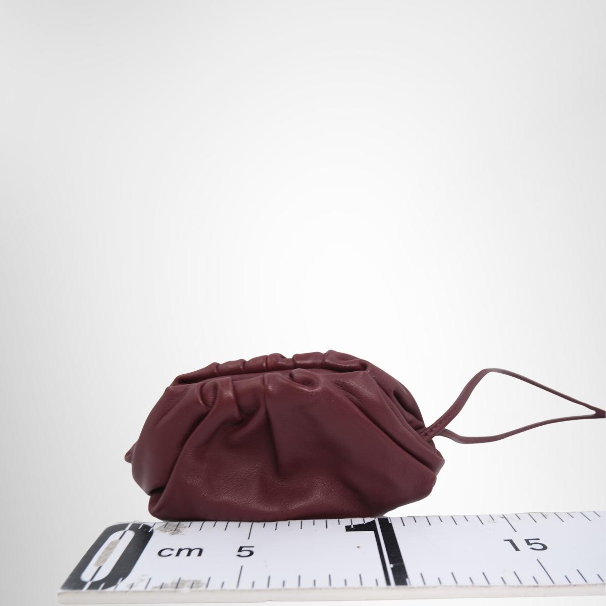 Bottega Veneta Mini The Pouch Bag – Pre-Owned Luxury Brand Bag – Antonio & Co – Back View
