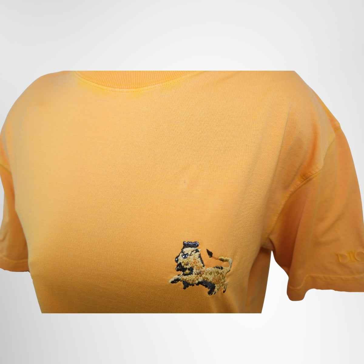 Dior x Peter Doig Lion Embroidery Mock-Neck T-Shirt – Orange, Size S