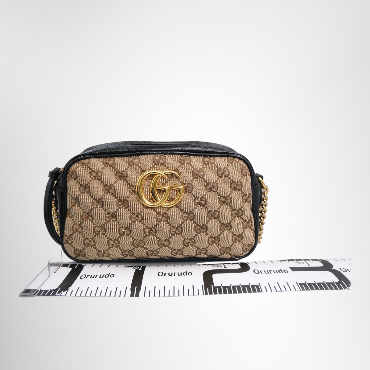 Small Camera Bag in Monogram Supreme Canvas