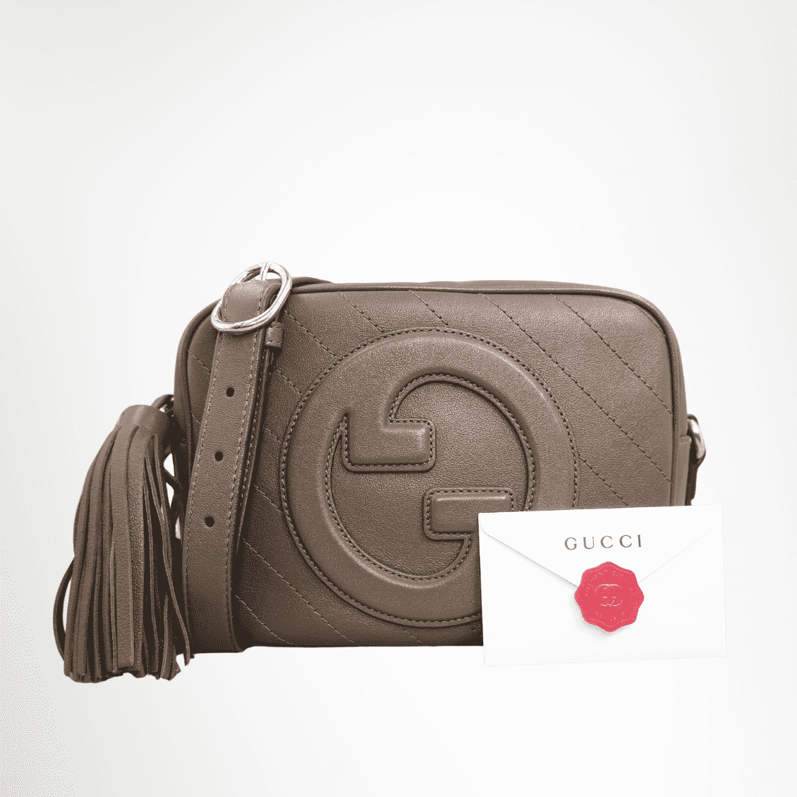Gucci Blondie Camera Bag