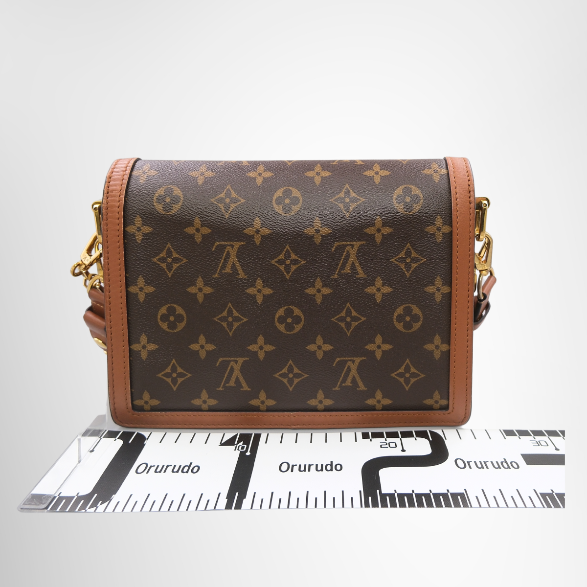 Louis Vuitton Dauphine MM Monogram & Monogram Reverse Canvas Bag