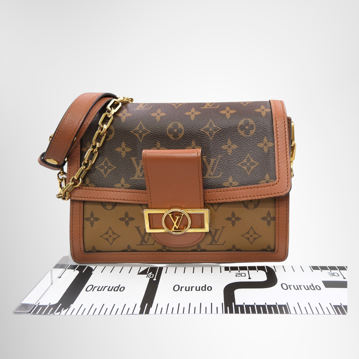 Louis Vuitton Dauphine MM Monogram & Monogram Reverse Canvas Bag