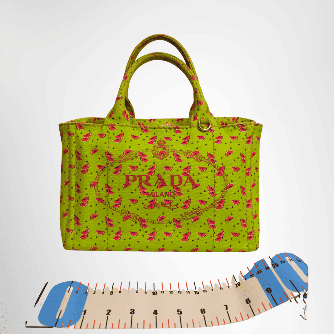 Prada Preowned Luxury Bag Canapa Watermelon Print Mini Tote Front View 2