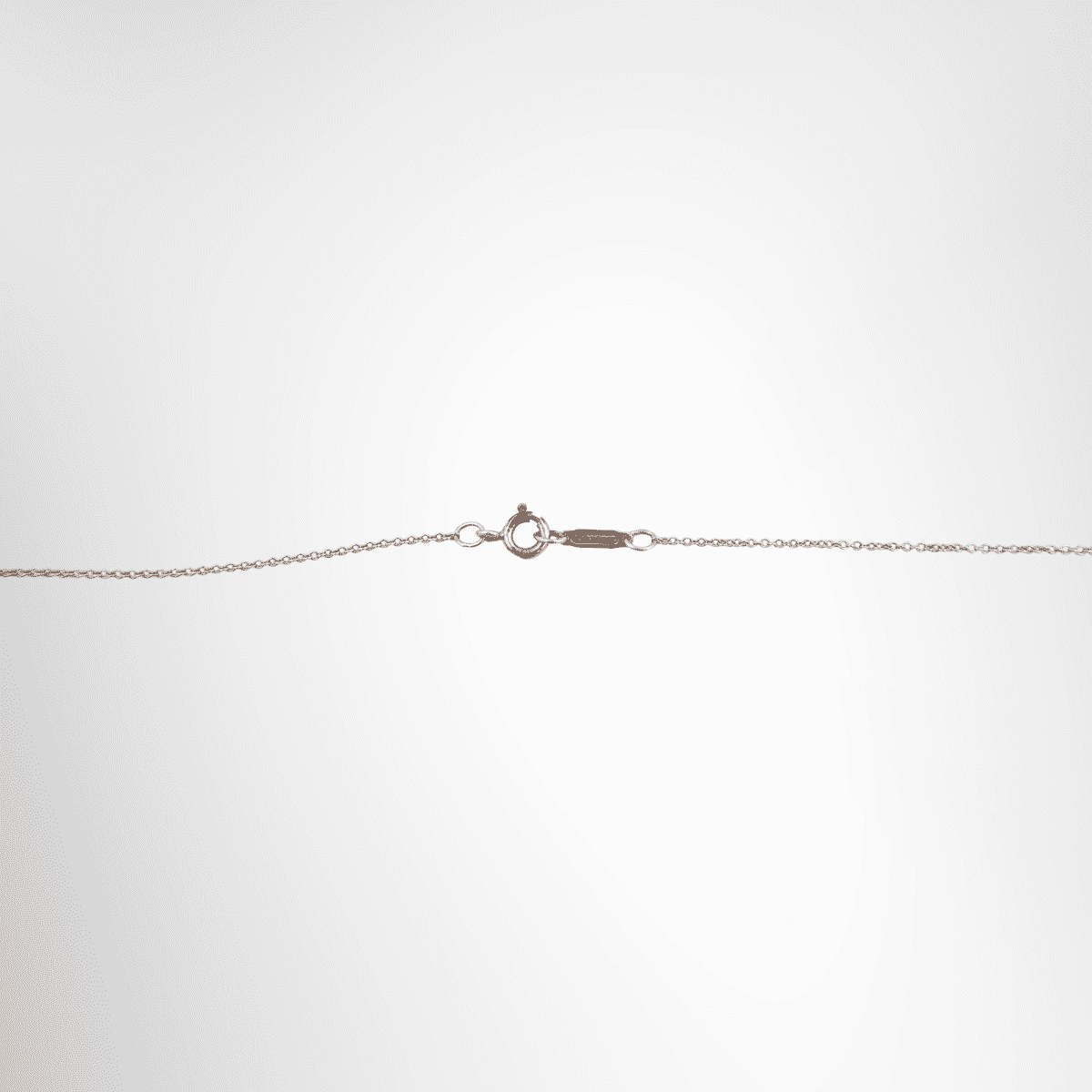 Tiffany & Co. Enchant Heart Key Necklace