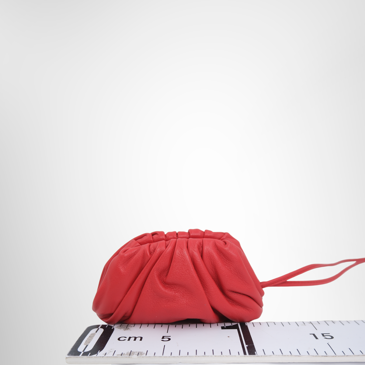Bottega Veneta Preowned Luxury Bag Mini The Pouch Red Bag Back View