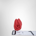 Bottega Veneta Preowned Luxury Bag Mini The Pouch Red Bag Side View