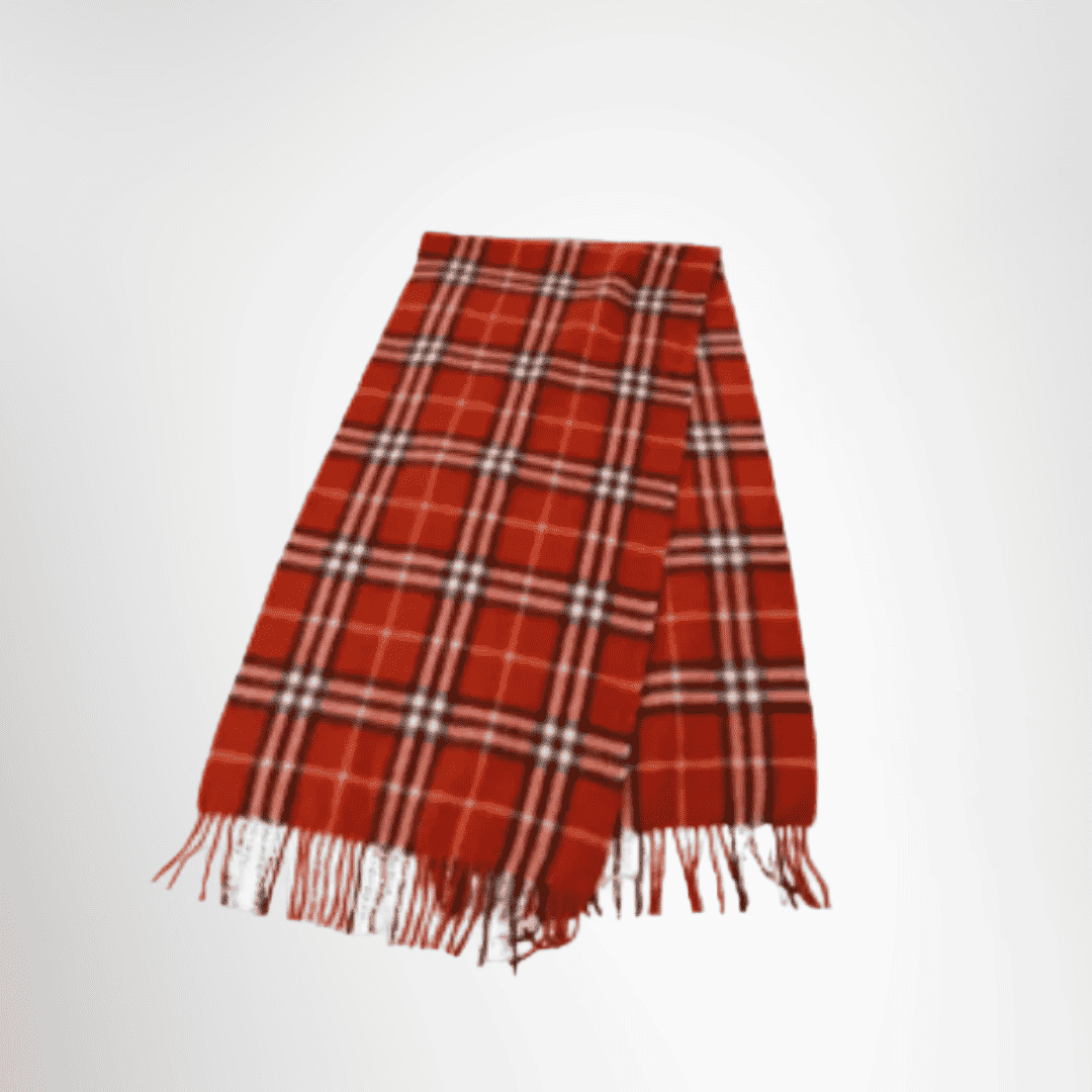 Burberry Preowned Luxury Checkered Scarf Front Page