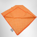 Celine Macadam Triomphe Handkerchief – Pre-Owned Luxury Accessories – Antonio & Co Interior View