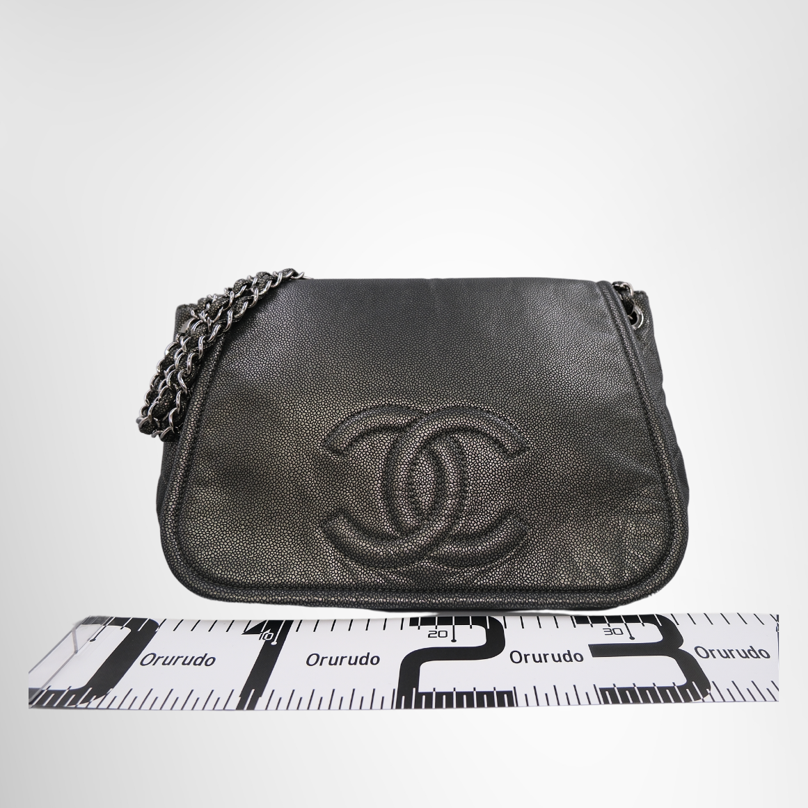 Chanel Timeless Accordion Flap Bag