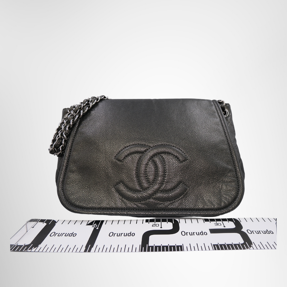Timeless Accordion Flap Bag