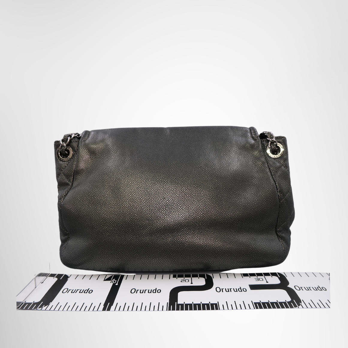 Chanel Timeless Accordion Flap Bag