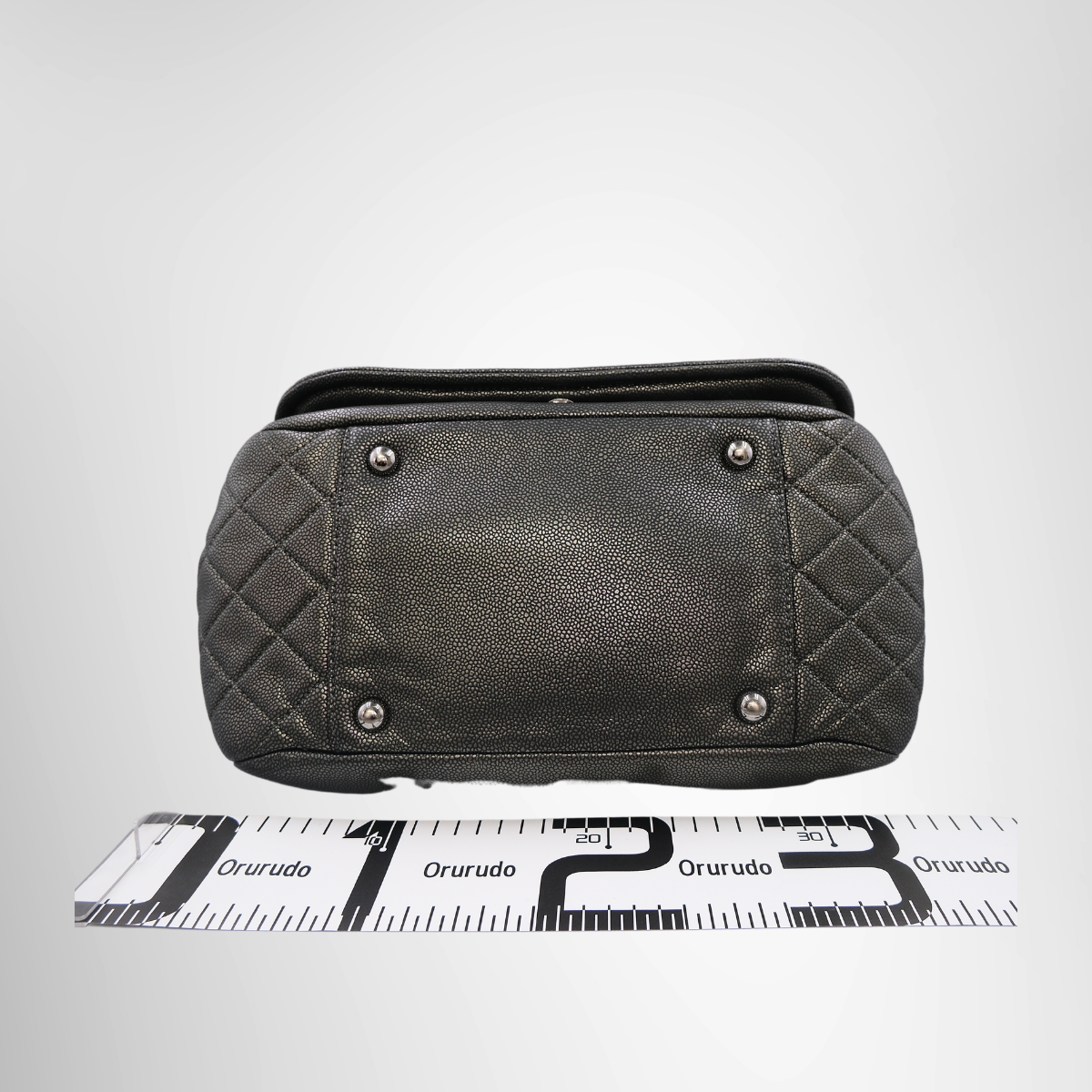 Chanel Timeless Accordion Flap Bag