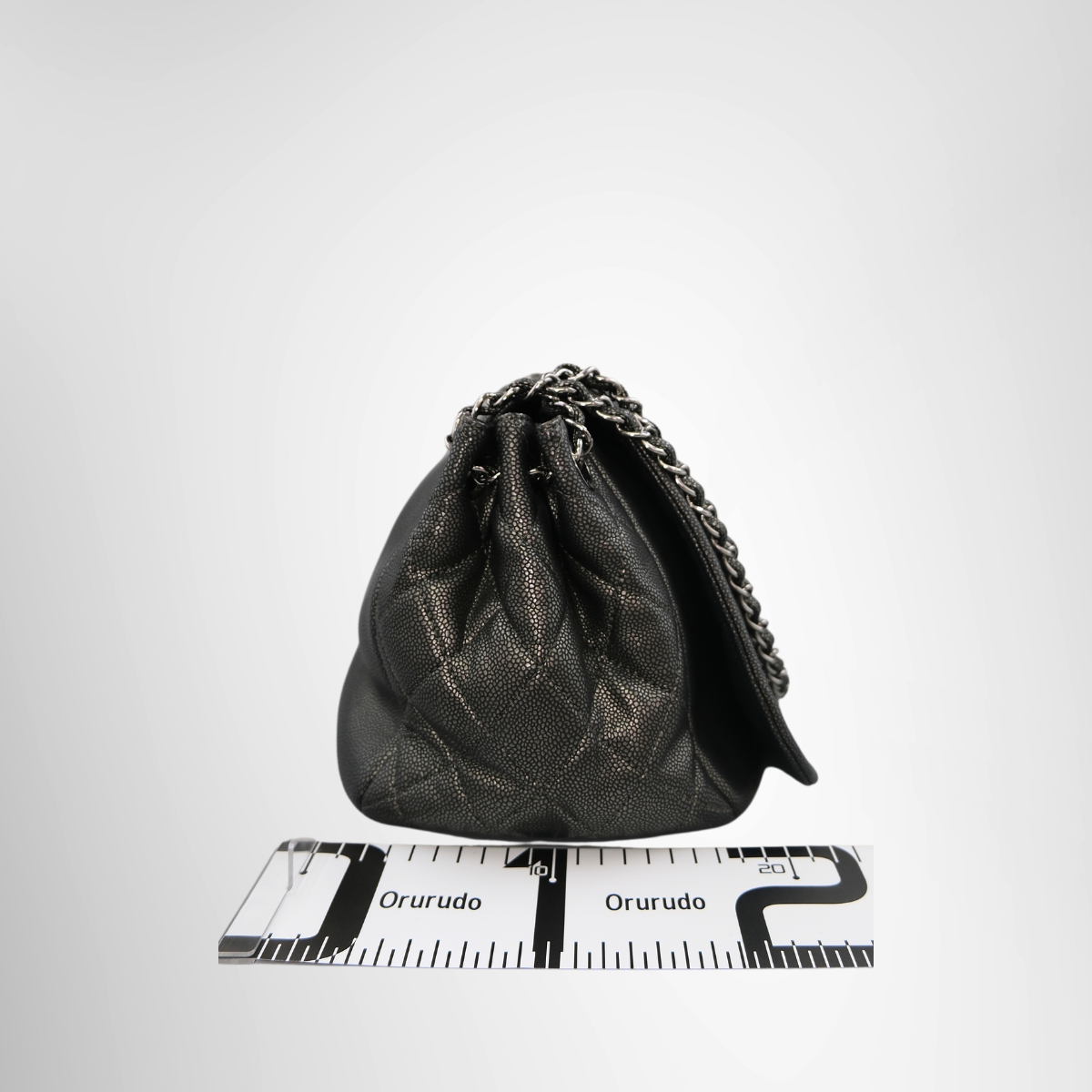 Chanel Timeless Accordion Flap Bag