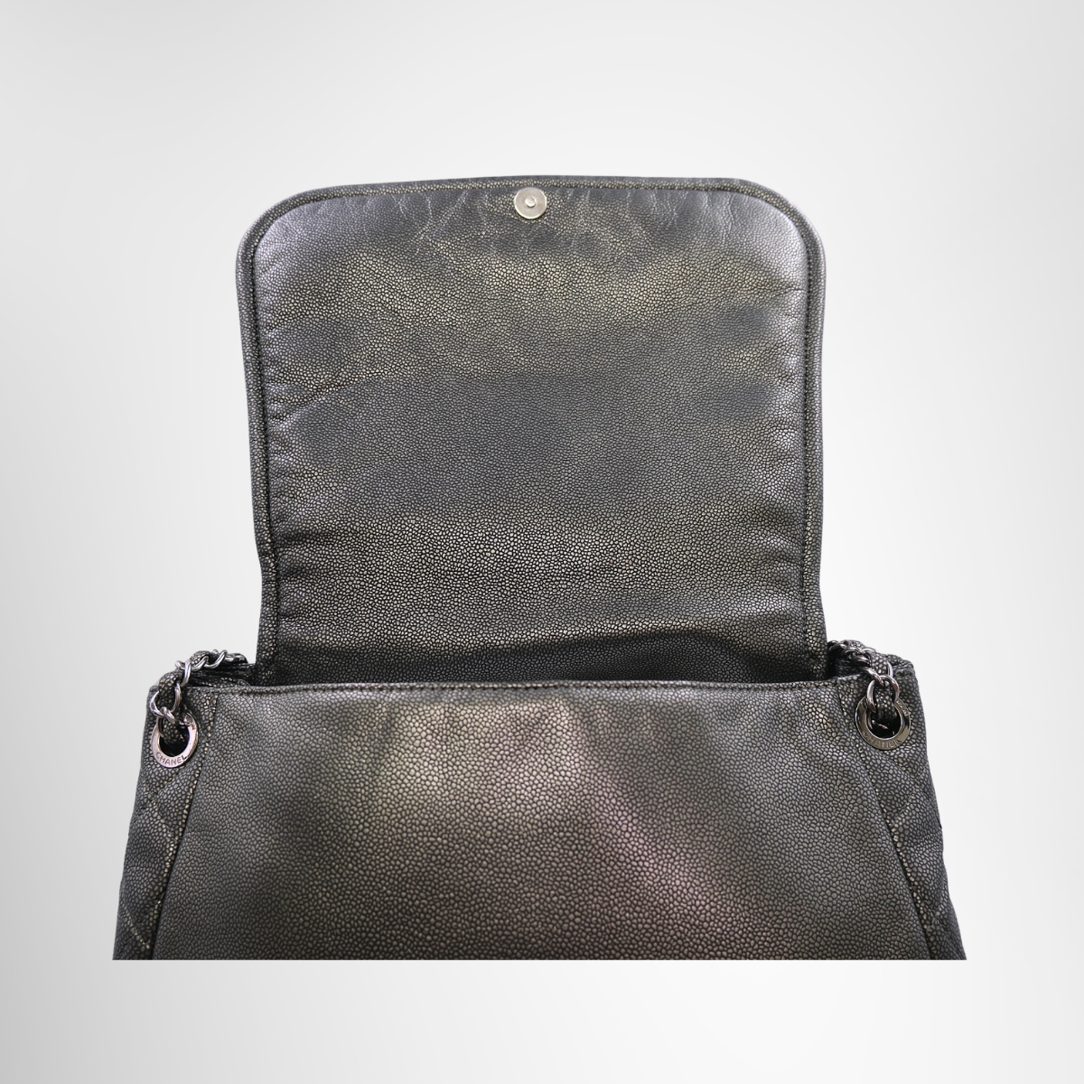 Chanel Timeless Accordion Flap Bag