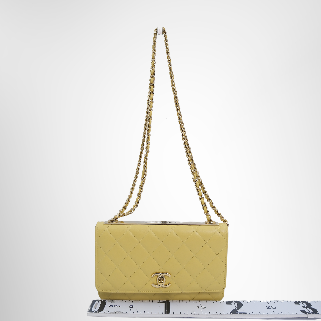 Chanel Preowned Luxury Bag Trendy CC Wallet on Chain Front View 2
