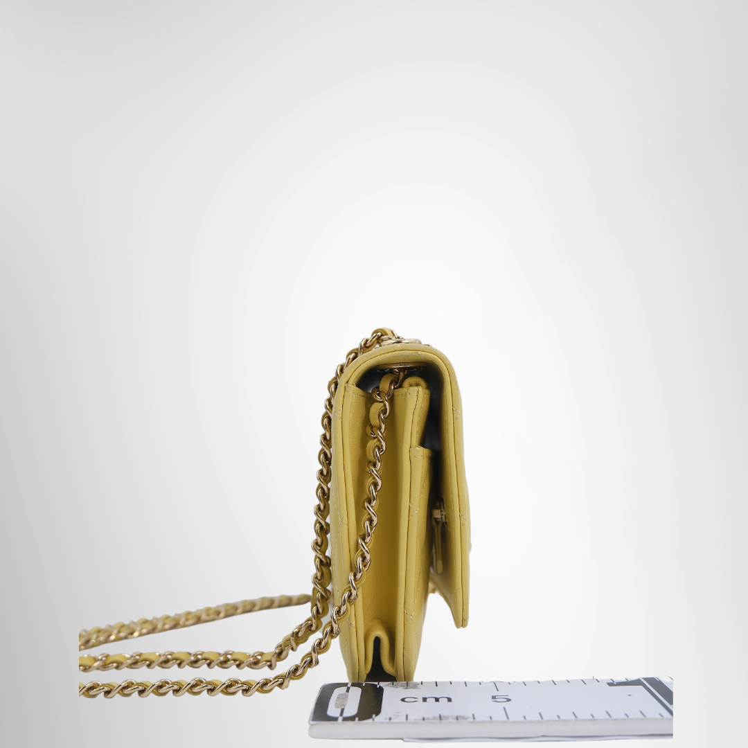 Chanel Preowned Luxury Bag Trendy CC Wallet on Chain Side View