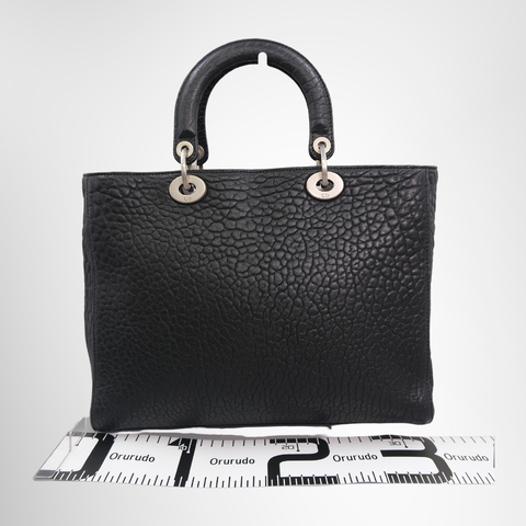 Dior Canyon Grained Lambskin in Unique Mosaic Turquoise