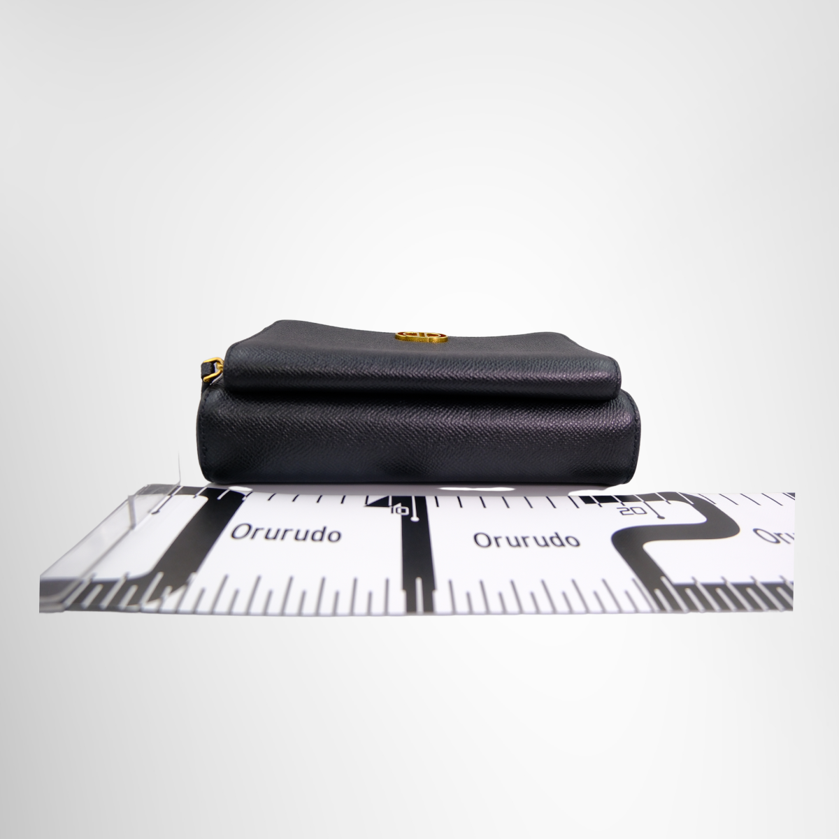 Caro Double Pouch Bag in Black Grained Calfskin