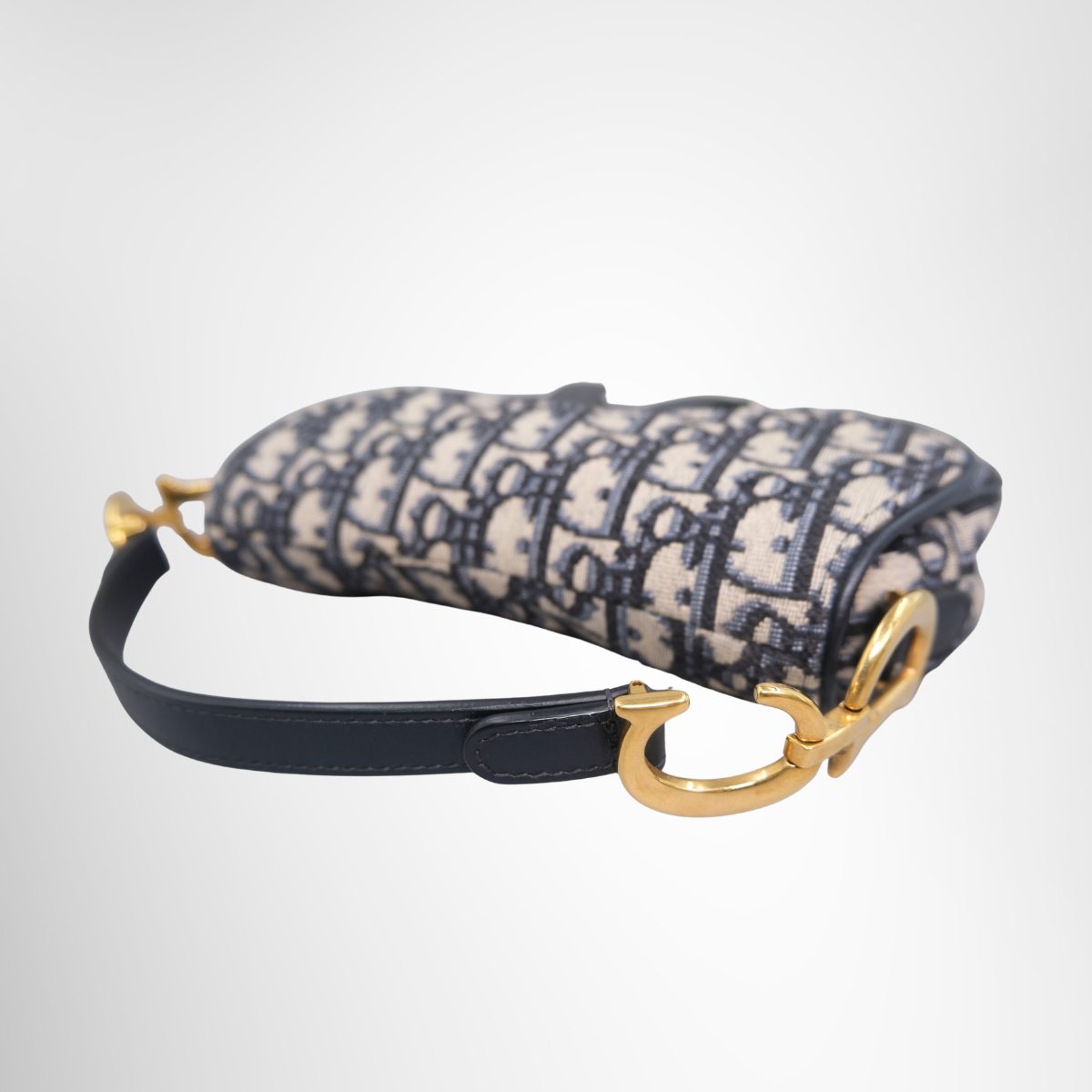 Oblique Saddlebag