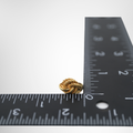 Dior Vintage Gold Plated Braided Rope Twist Clip On Earring – Pre-Owned Luxury Accessories – Antonio & Co Measurement View