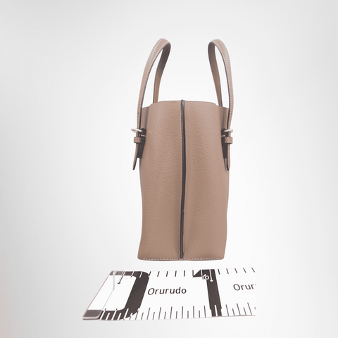 Coach Molly 25 2-way Hand Darkstone