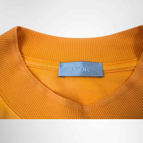 Dior x Peter Doig Lion Embroidery Mock-Neck T-Shirt – Orange, Size S