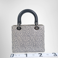 Dior Preowned Luxury Bag Lady Dior Medium Python Bag  Back View