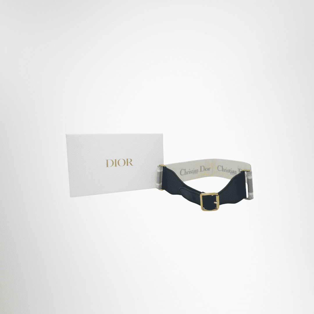 Dior Preowned Luxury Embroidered Canvas Belt Front View With Box