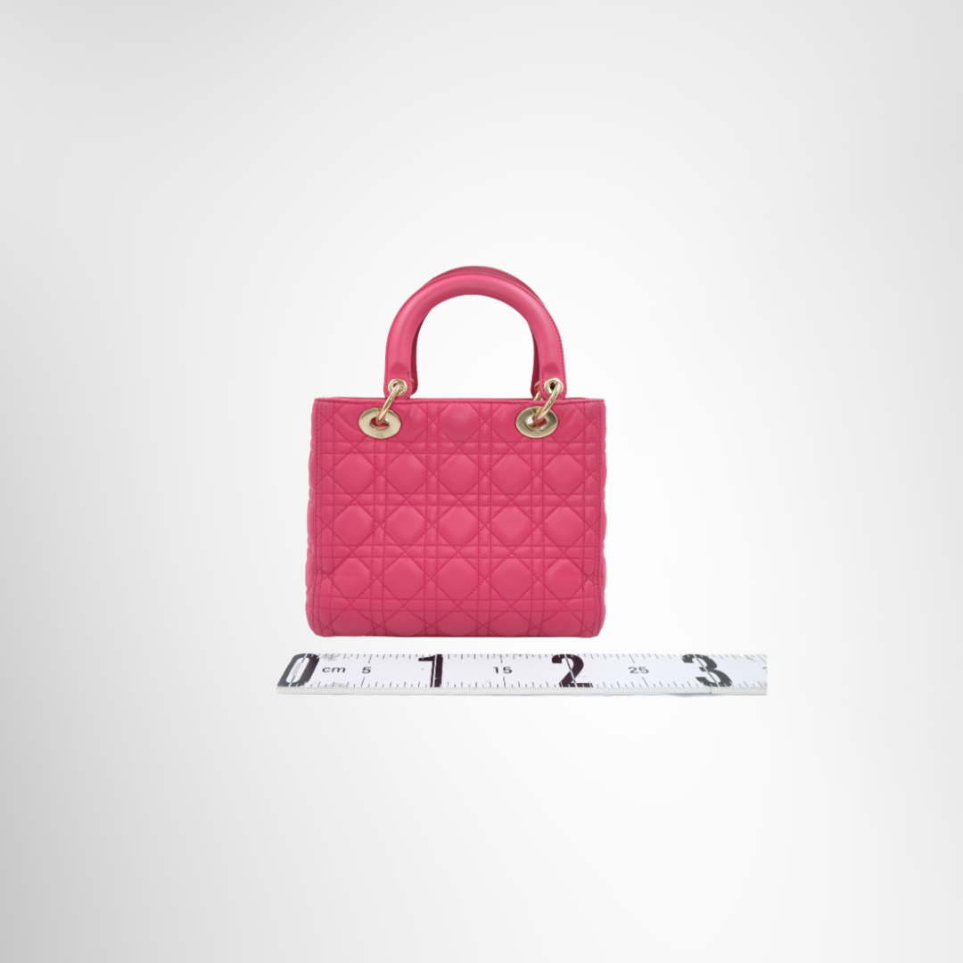 Dior Preowned Luxury Lady M Bag Back View - Antonio & Co.