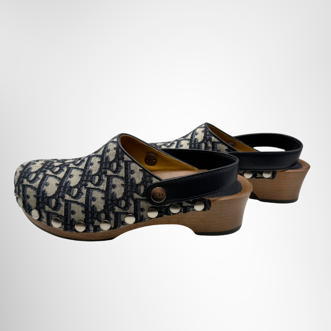 Dior Preowned Luxury Shoes Canvas Oblique Diorquake Slingback Clog Side View