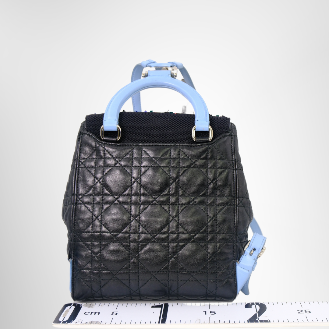Dior Preowned Luxury Stardust Backpack Bag Back View - Antonio & Co.
