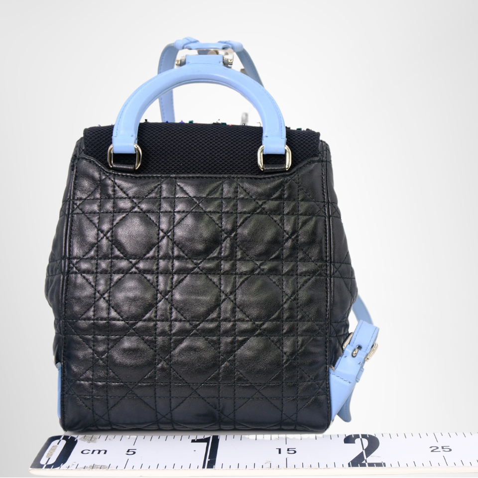 Dior Preowned Luxury Stardust Backpack Bag Back View - Antonio & Co.