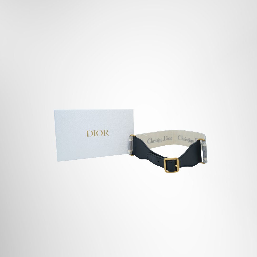 Embroidered Canvas Belt
