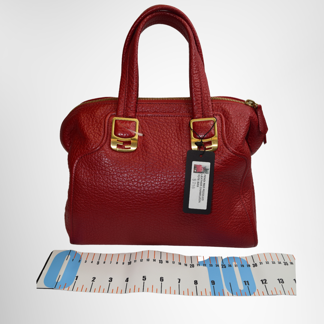 Fendi Preowned Luxury Bag Chameleon 2-way Handbag Front View 2