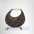 Fendi Preowned Luxury Bag Fendigraphy Mini Hobo Bag Back View