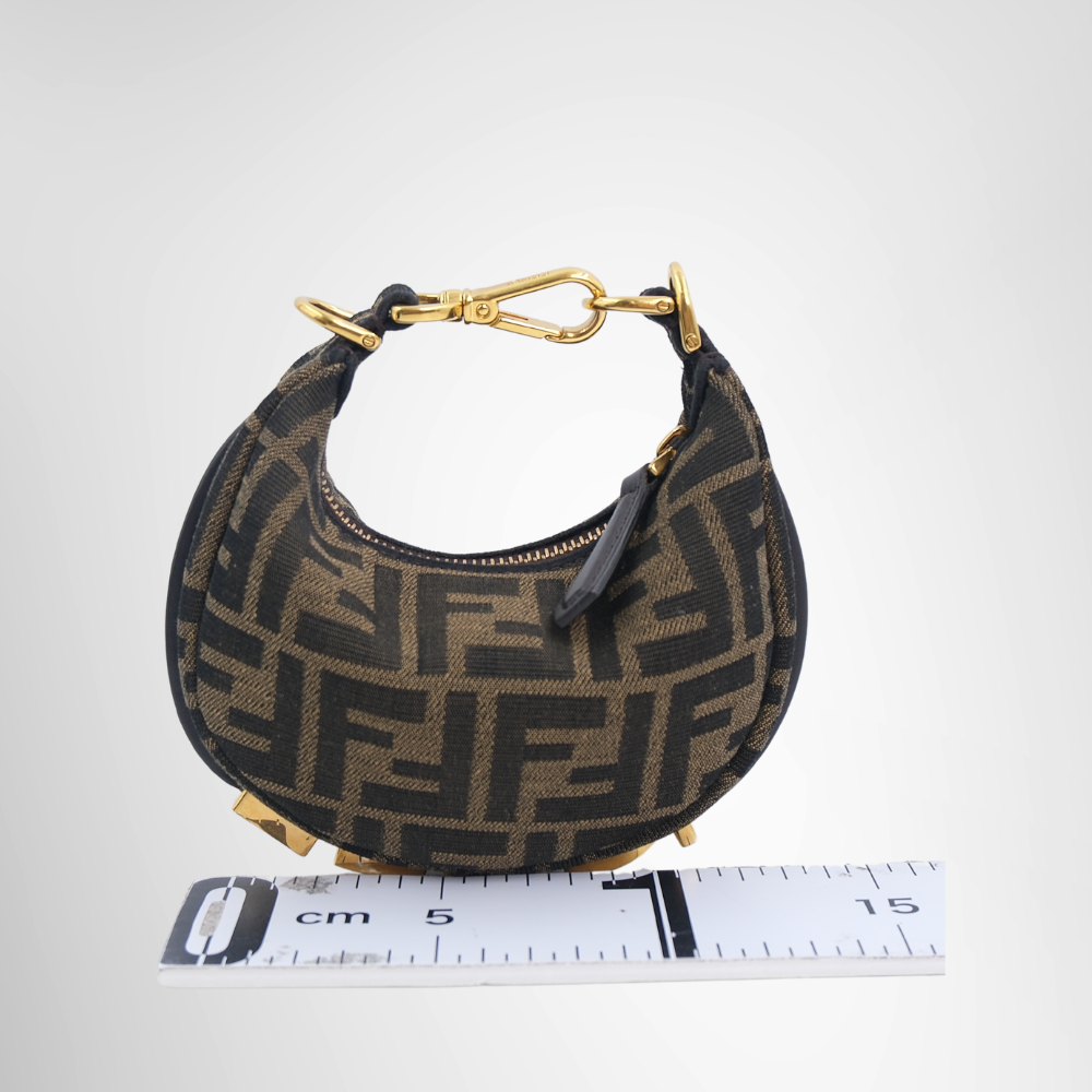 Fendi Preowned Luxury Bag Fendigraphy Mini Hobo Bag Back View