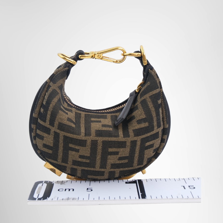 Fendi Preowned Luxury Bag Fendigraphy Mini Hobo Bag Back View