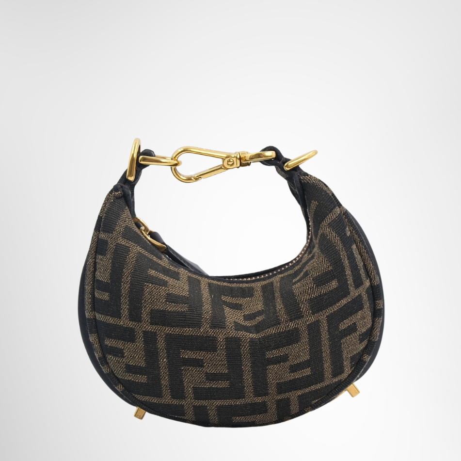 Fendi Preowned Luxury Bag Fendigraphy Mini Hobo Bag Front View