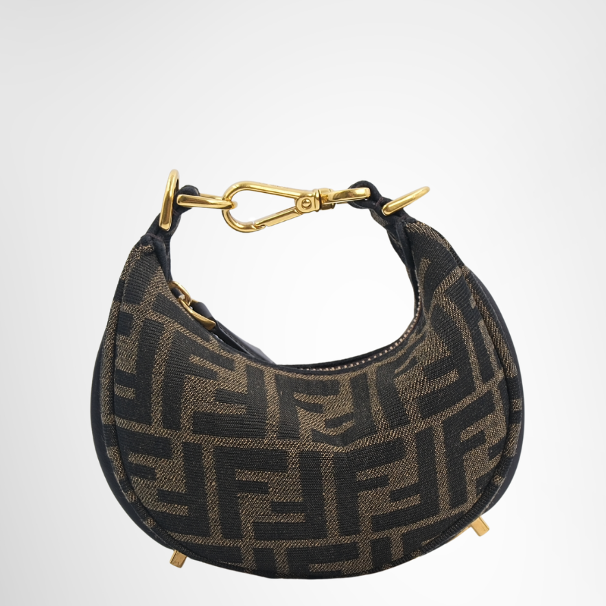 Fendi Preowned Luxury Bag Fendigraphy Mini Hobo Bag Front View