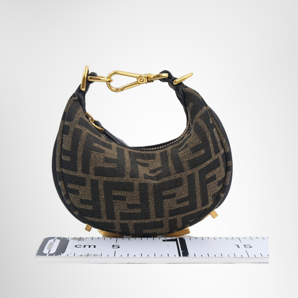 Fendi Preowned Luxury Bag Fendigraphy Mini Hobo Bag Front View 3