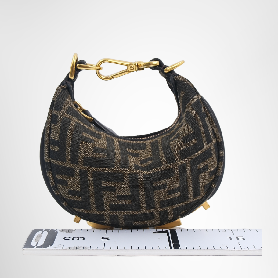 Fendi Preowned Luxury Bag Fendigraphy Mini Hobo Bag Front View 3