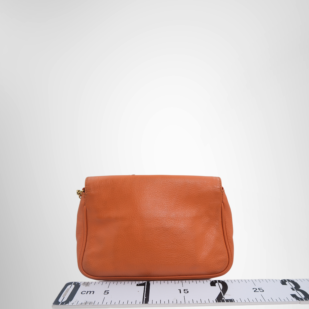 Fendi Preowned Luxury Bag Fendista Pochette Crossbody Back View