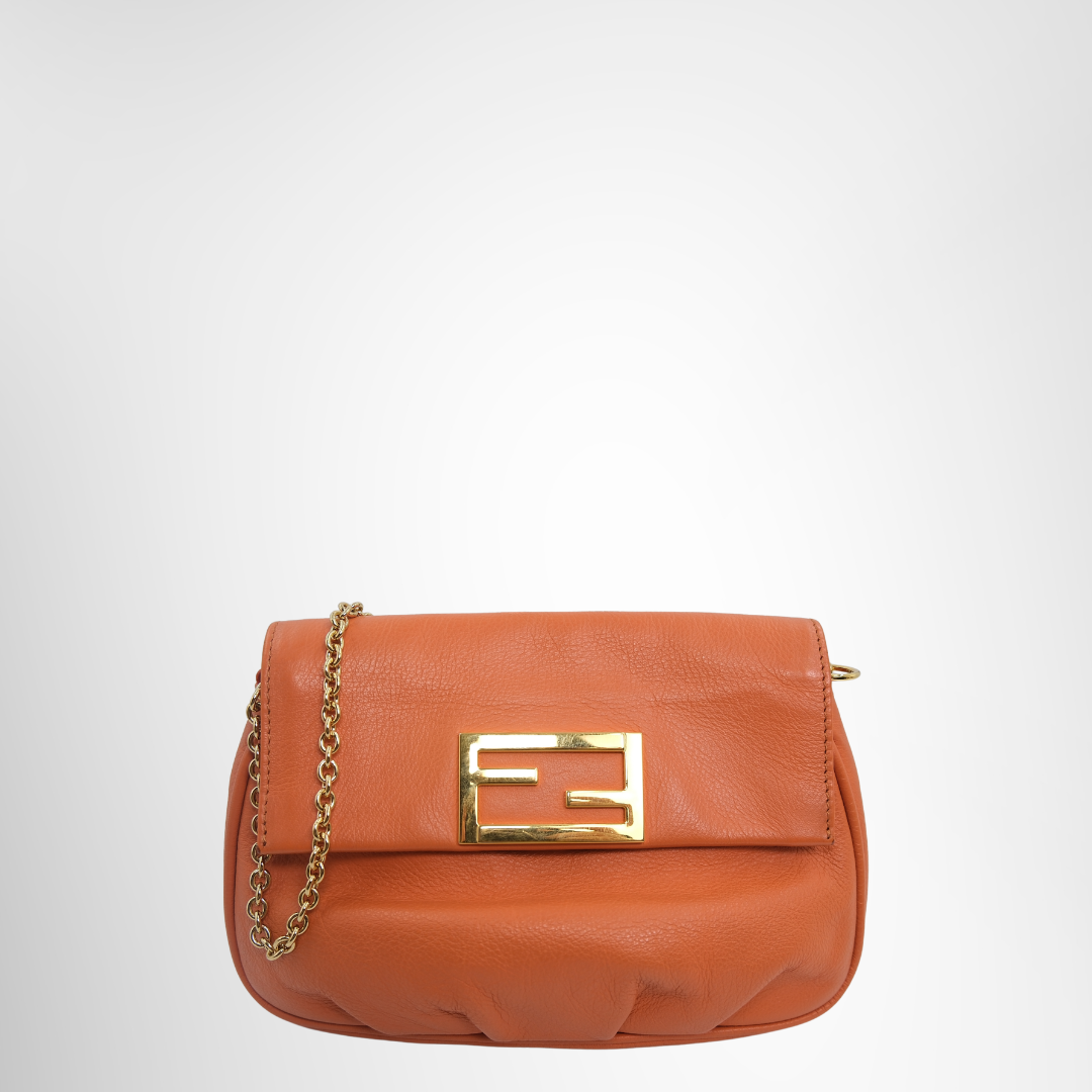Fendi Preowned Luxury Bag Fendista Pochette Crossbody Front View