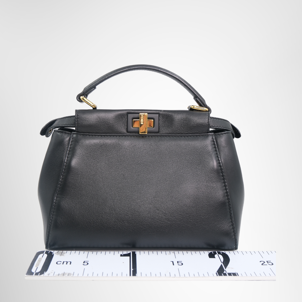 Fendi Preowned Luxury Bag Peekaboo Mini Bag Back View