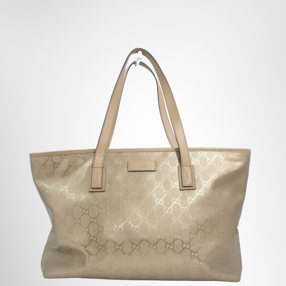 Gucci Preowned Luxury Bag GG Imprimé Tote Bag Front View