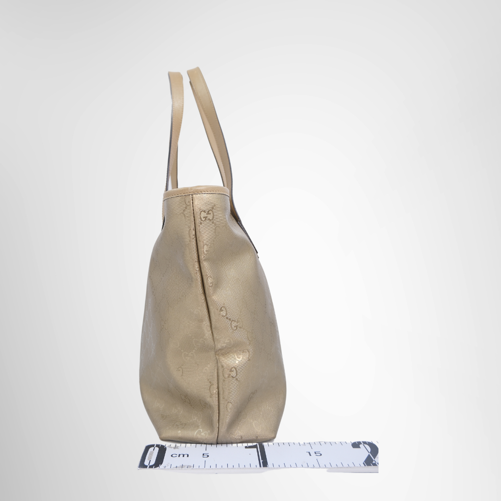 Gucci Preowned Luxury Bag GG Imprimé Tote Bag Side View