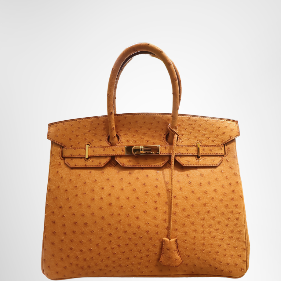 Hermes Preowned Luxury Birkin 35 in Cognac Ostrich Leather Bag Front View - Antonio & Co.