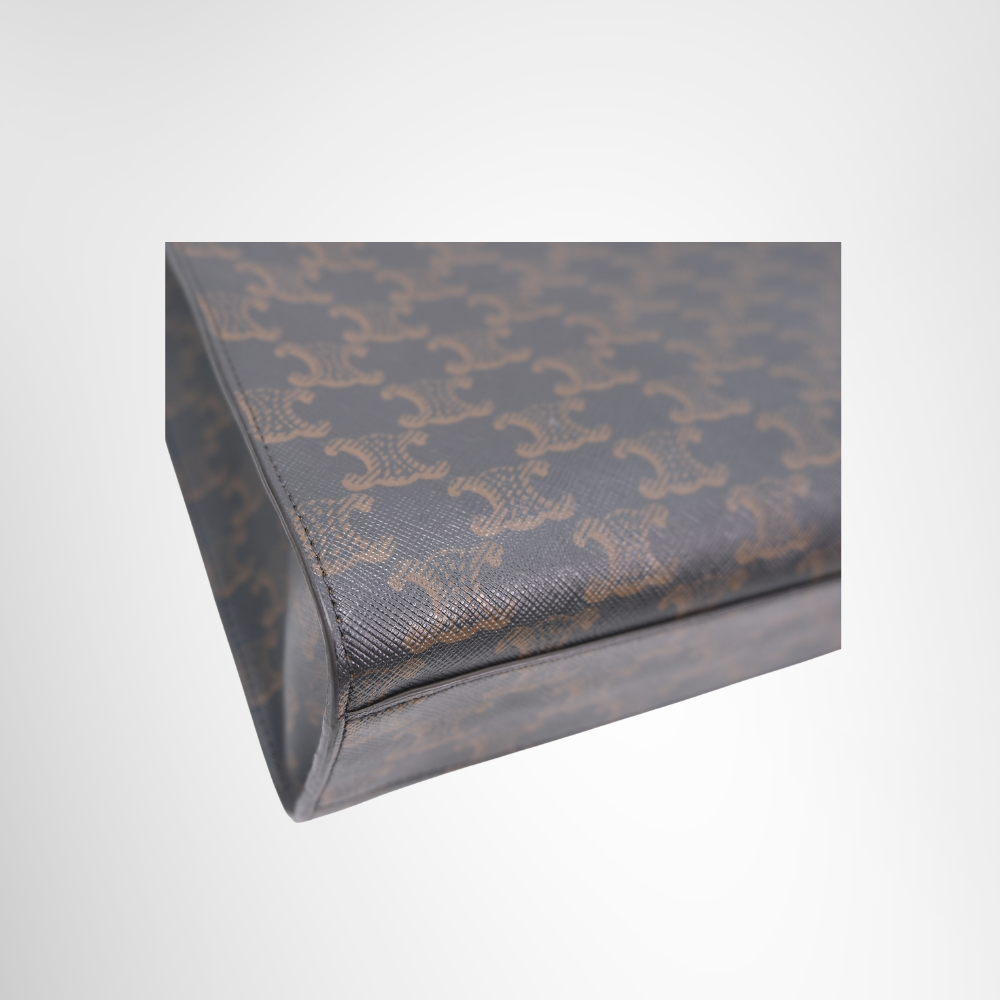 Vertical Cabas Tote Bag in Triomphe Coated Canvas