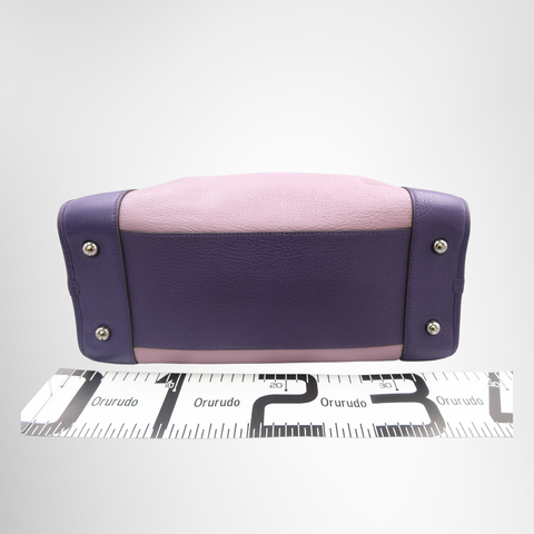 Loewe Amazona 36 Tri-Color Handbag - Pink and Purple
