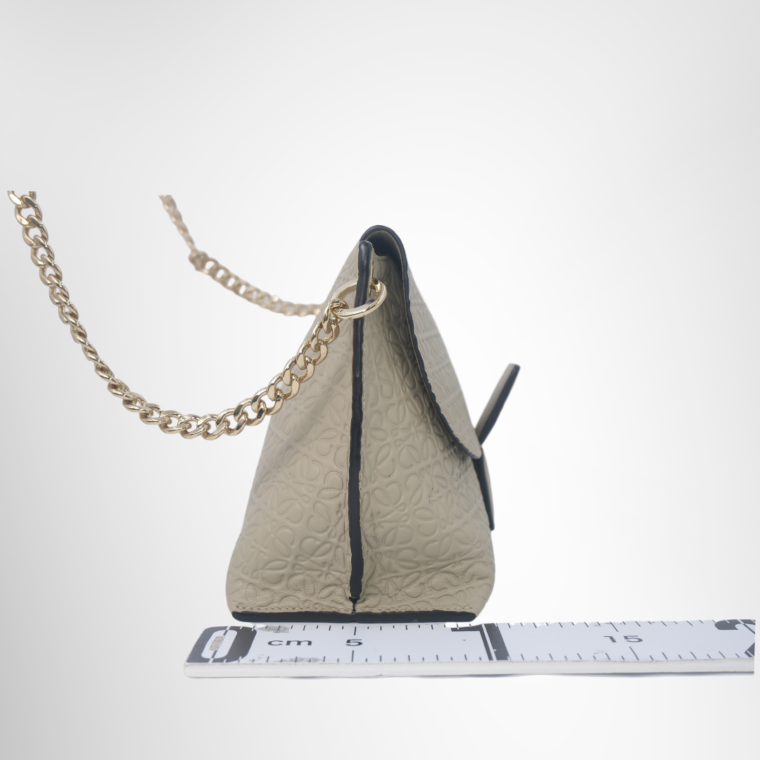 Loewe Preowned Luxury Anagram Avenue Chain Shoulder Bag Side View - Antonio & Co.